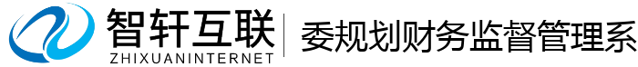 委规划财务管理系统